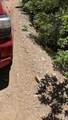 TBD Sawyer Mesa Road - Photo 48