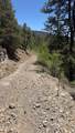 TBD Sawyer Mesa Road - Photo 52