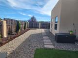3 Bosquecillo - Photo 29