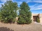 3 Bosquecillo - Photo 3