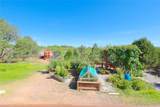 9 La Rosa - Photo 46