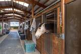 277 Spur Ranch Road - Photo 35