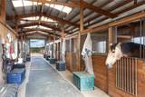277 Spur Ranch Road - Photo 36
