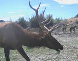 Pitchfork Ranch - Photo 13