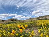 Pitchfork Ranch - Photo 15