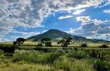 Pitchfork Ranch - Photo 29