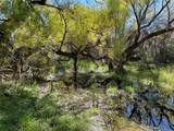Pitchfork Ranch - Photo 4
