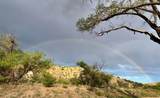 Pitchfork Ranch - Photo 56