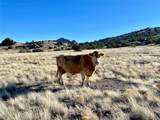 Pitchfork Ranch - Photo 7