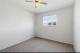 2901 Camino Del Gusto - Photo 11