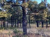 3 Dancing Hawk Drive - Photo 1