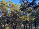 3 Dancing Hawk Drive - Photo 3