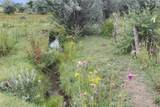 0 La Senisa Road - Photo 13