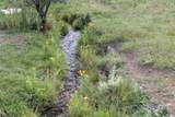 0 La Senisa Road - Photo 19