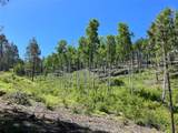 192 Llano De La Legua - Photo 16