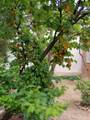 509 & 511 Agua Fria Street - Photo 27