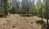 Block 3 Lot 17 Brazos Meadows - Photo 1