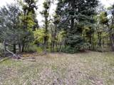 Block 3 Lot 17 Brazos Meadows - Photo 3