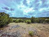 623 County Road 69 - Photo 15