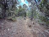 623 County Road 69 - Photo 20