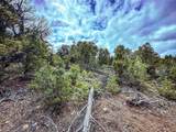 623 County Road 69 - Photo 23