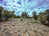 623 County Road 69 - Photo 24