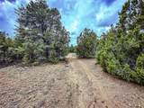 623 County Road 69 - Photo 29