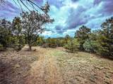 623 County Road 69 - Photo 30