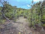 623 County Road 69 - Photo 44