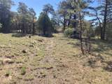 TBD Rim Dr. Lots 68 & 69 - Photo 9