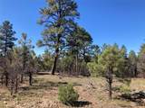 TBD Rim Drive Lots 72 & 73 - Photo 2