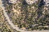 308 Pawprint Trail - Photo 3