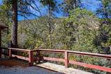 808 San Diego Loop - Photo 29