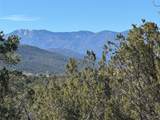 Tract 4 Verde Road - Photo 10