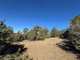 Tract 4 Verde Road - Photo 4