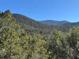 Tract 4 Verde Road - Photo 5