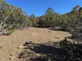 Tract 4 Verde Road - Photo 6