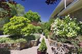 316 Buena Vista - Photo 29