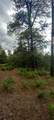 0 1781 - Photo 4