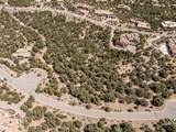 2959 Broken Sherd Trail - Photo 5