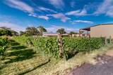 17 Llanito Road - Photo 46