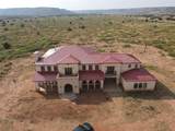 1019 Paisano Road - Photo 60