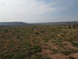 1019 Paisano Road - Photo 62