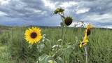 209A State Road 110 - Photo 50