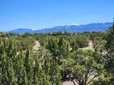 36 Green Meadow Loop - Photo 42