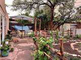 1103 Calle Florinda - Photo 16