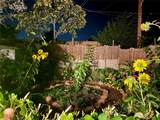 1103 Calle Florinda - Photo 20