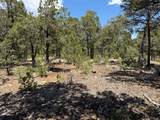 Lot 20 Dancing Hawk Drive - Photo 1