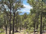 Lot 20 Dancing Hawk Drive - Photo 2