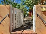 951 Camino Santander - Photo 36